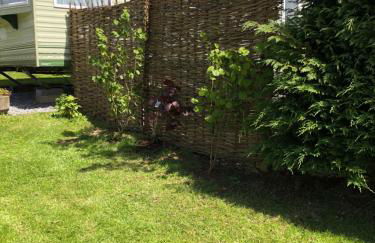 Swallows Return - Foto 3