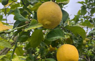 Sun-soaked apt w patio, balcony & garden - Aguilas - Foto 31