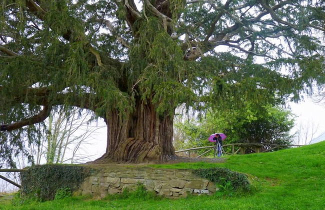 Alojamientos Rurales Valle de Bueida - Photo 74