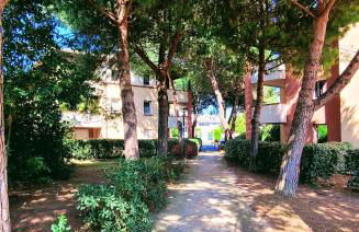 " Côté Parc " Cité de l'espace - Entrée autonome - Foto 21