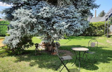 Ferienwohnung König Niedergurig bei Bautzen - Foto 22