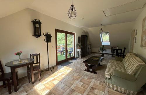 Koci Grzbiet Agroturystyka - Foto 55