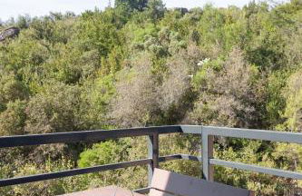 Gîte au cœur des vignes, vue sur le Minervois - Foto 47