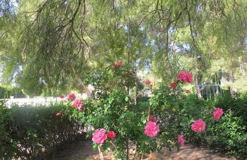 Villa Molinos - Foto 50