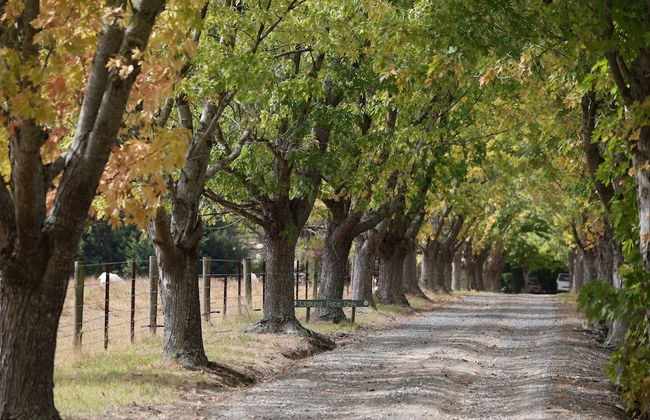 StayAU 3BR Quaint Countryside Cottage - Foto 23