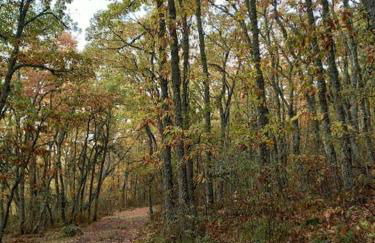 La casa de la Tina - Foto 31