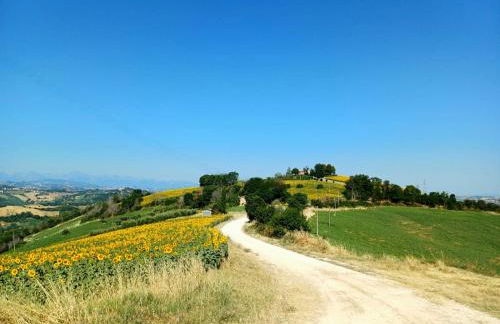 Casale Il Picchio Verde - Foto 24