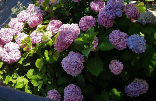 Villa Maria Tereza - Foto 55