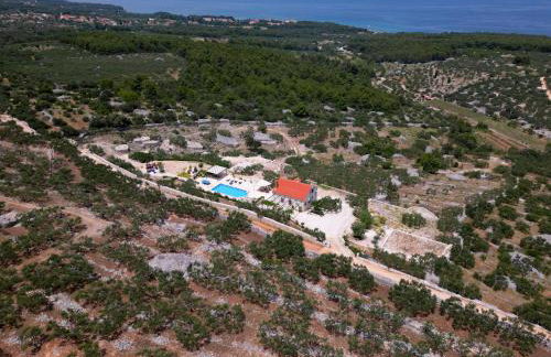 Villa Fani - Photo 9