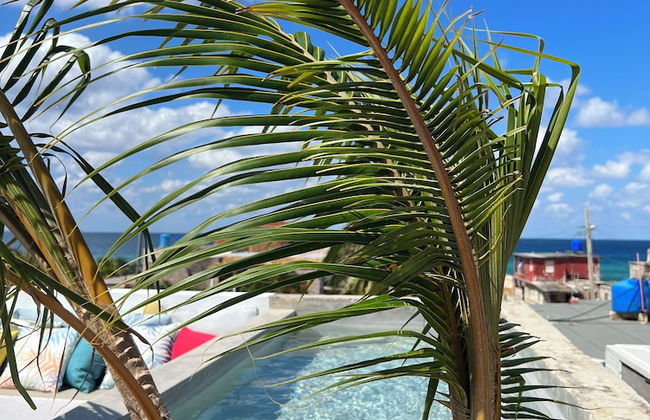 Villa in Havana with swimming pool and terrace - Foto 49