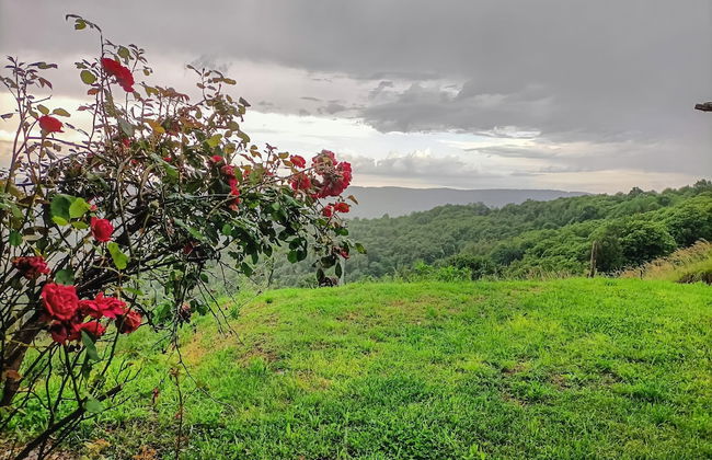 Cà Valchiusella - Foto 23