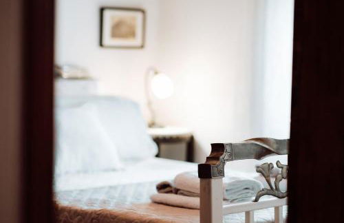 Olive Roots - Foto 28