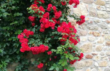 La Clède de Monéry - Foto 10