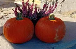 Apartamenty Na Brzegu Szczawnica - Photo 44