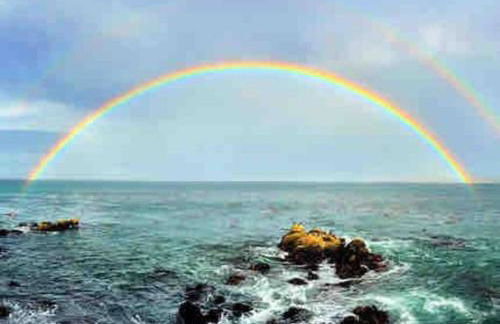 Large Monterey Bay House close to Aquarium, Golf - Foto 23