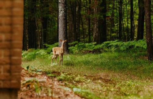 Brandy Bay Hideaway - Foto 42