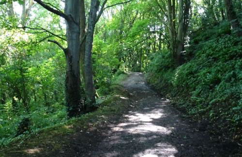 Appartement Duplex Cosy au calme à 50m de la plage - Foto 11
