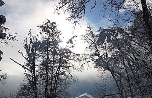 Rossweid hut With a Fantastic View - Foto 24