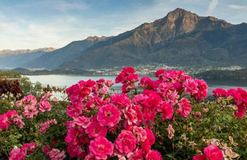 La Collina dei Fiori - Foto 25