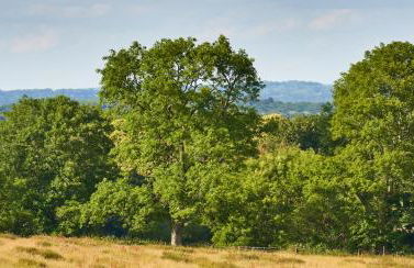The Pump House At Wiston Estate - Foto 11