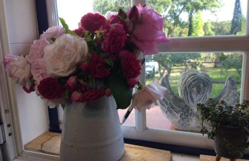 Monte do Rei Santo - Foto 10