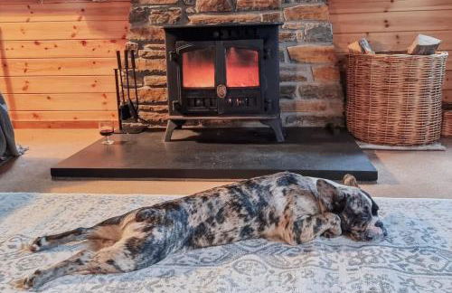 Luxury Wood Lodge with sauna, log burner & private woodland garden - Wnion Wood Lodge - Foto 36