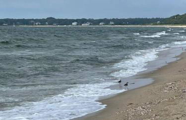 Wedgewood Cottage - Photo 30