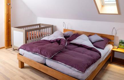 Ferienhaus im Bayerischen Wald - "Lindensalettl" mit Garten und Terrasse - Foto 5