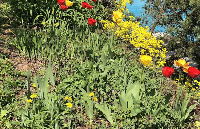 Ferienwohnungen Ries - Foto 40