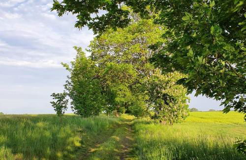 Apartment Altes Pfarrhaus in Plau am See - Foto 48