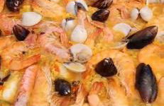 Entrada Río Lobos - Photo 50