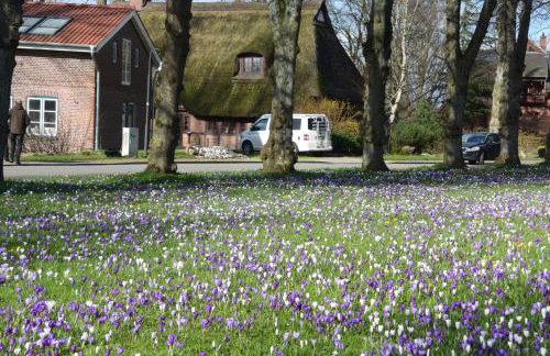 Vittebrook - Foto 13