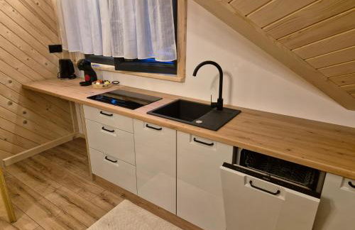 Apartament z prywatną wanną z hydromasażem - U Parów - Foto 62