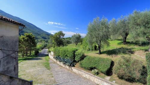 Il Gallo d' Oro - Pulcino - Foto 2