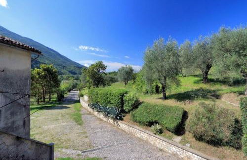 Il Gallo d' Oro - Oca - Foto 1