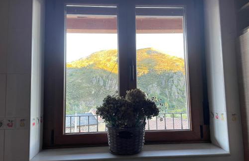 Los Toriles - Photo 13