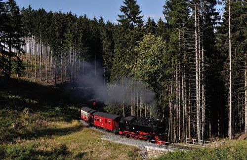 Hercynia Lodge - Foto 35