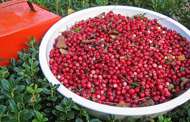 7 Person Holiday Home in Salen-by Traum - Foto 4