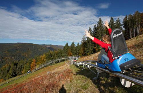 Ferienwohnung Seeblick Nr 2 5-Zimmerwohnung - Feldberg Bärental - Foto 20