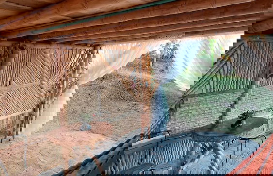 Los Nevados Ecolodge - Foto 31