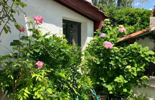 Ancienne maison basque au calme au pied de la Rhune - Foto 12