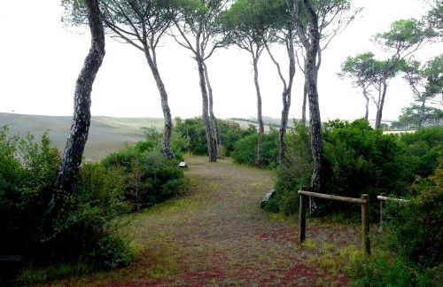 San Giorgio Country Residence - Foto 74