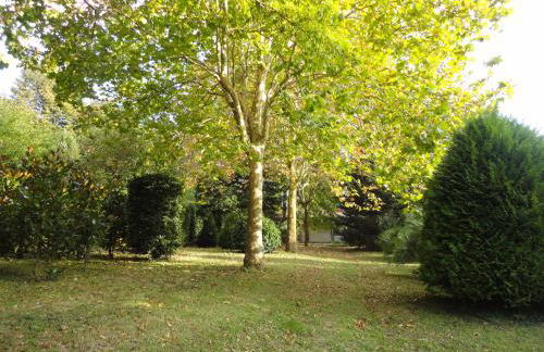 Tenuta Montelaura - Foto 56