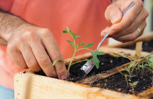 Milea Agritourism - Foto 70