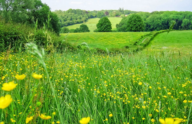 5 bedroom House in Gulpen with garden and terrace - Photo 26
