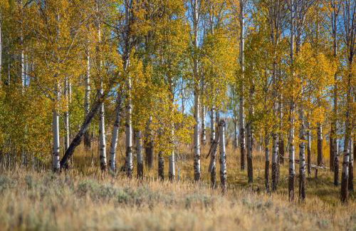 Alpine Recharge - Foto 26