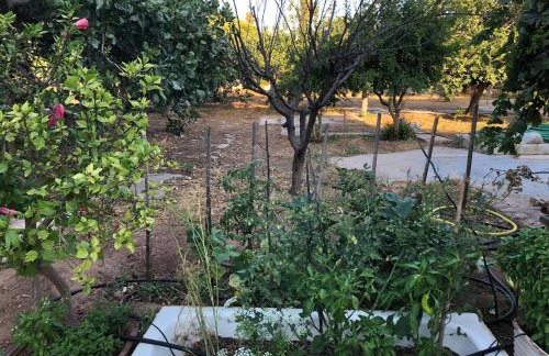 Seaview penthouse by the beach - Foto 54