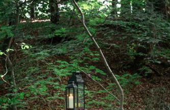 Gut Moorbeck - Foto 8