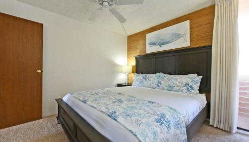 Maalaea Banyans 203 · MBN 203 OceanFront 1BD Amazing Ocean Views - Foto 3