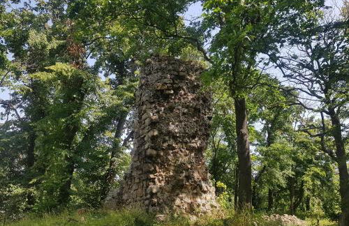 Ferienhaus Renate 7 - Foto 20